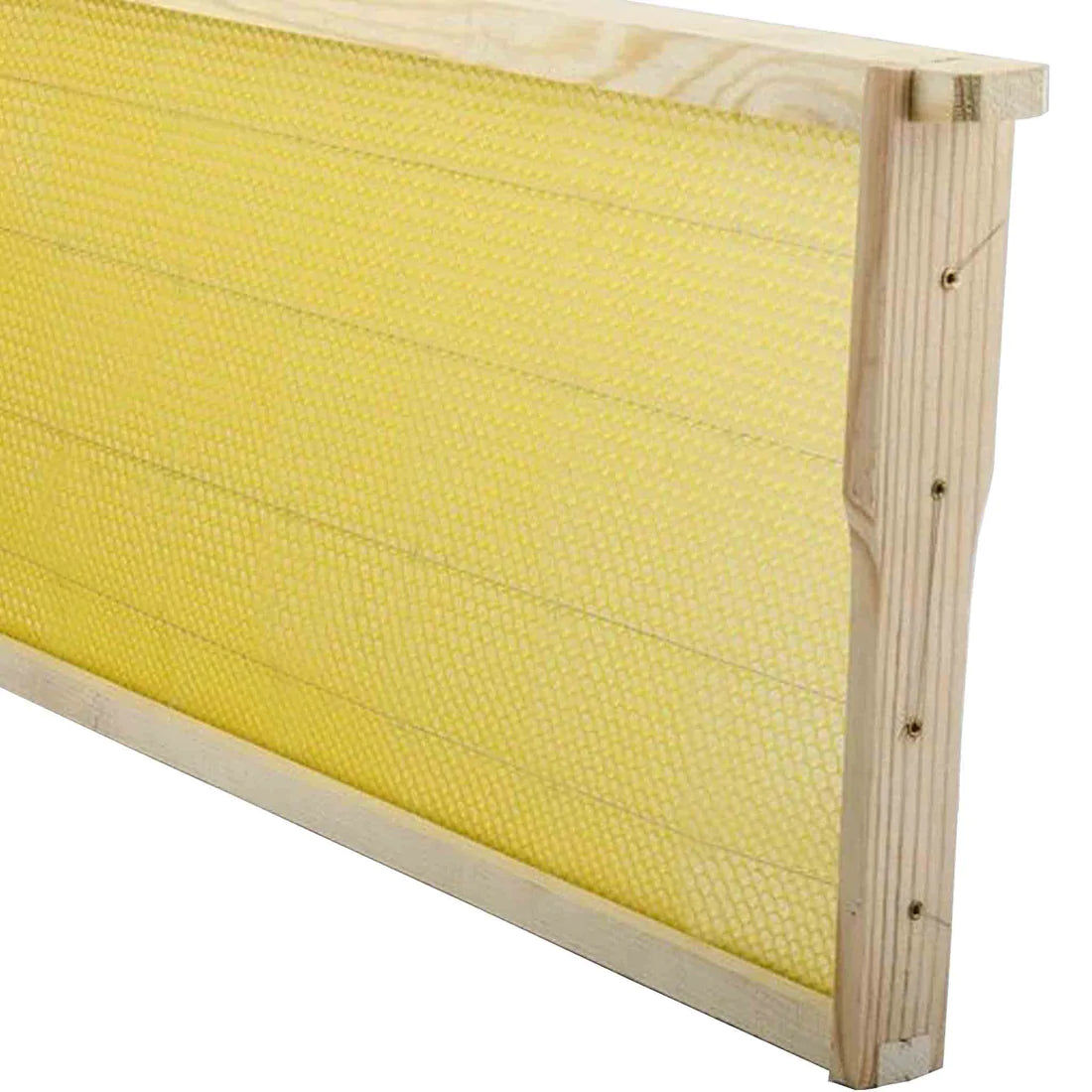 Standard Langstroth Frames *pick up only*