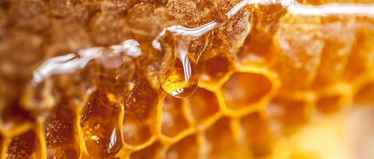 What is raw honey? How is it different to regular (pasteurised) honey?