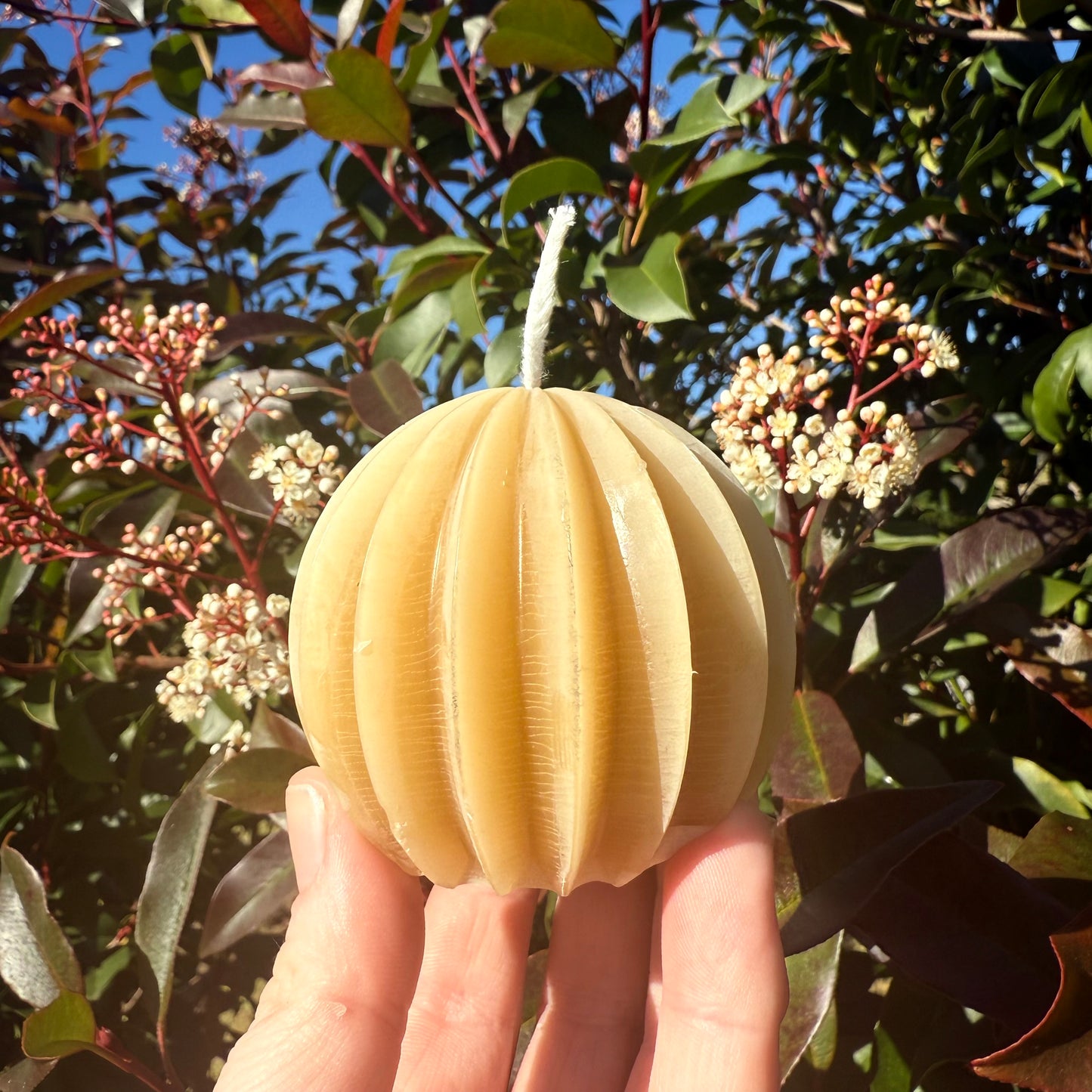 Golden Globe - Pure Beeswax Candle