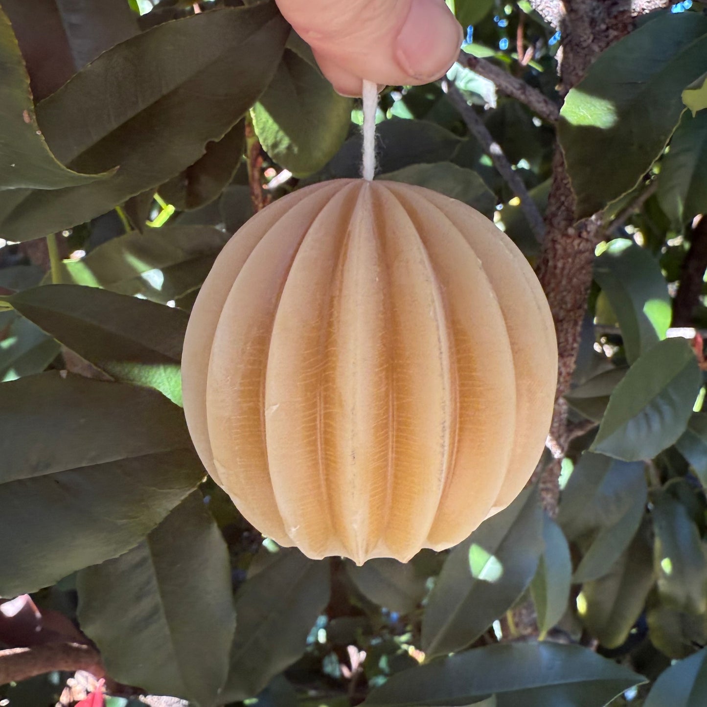 Golden Globe - Pure Beeswax Candle