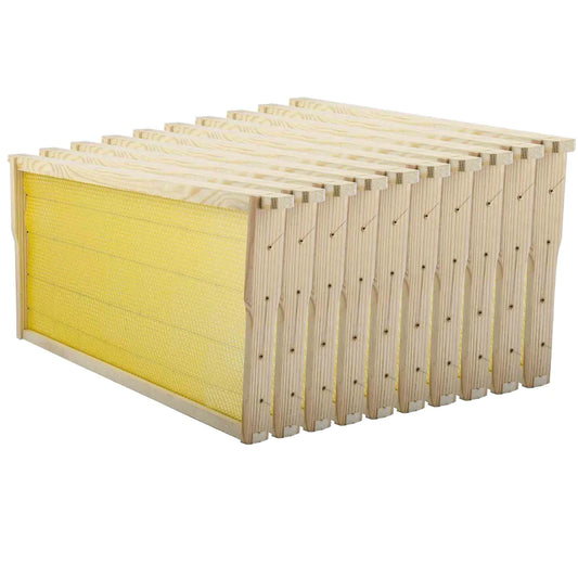 Standard Langstroth Frames *pick up only*
